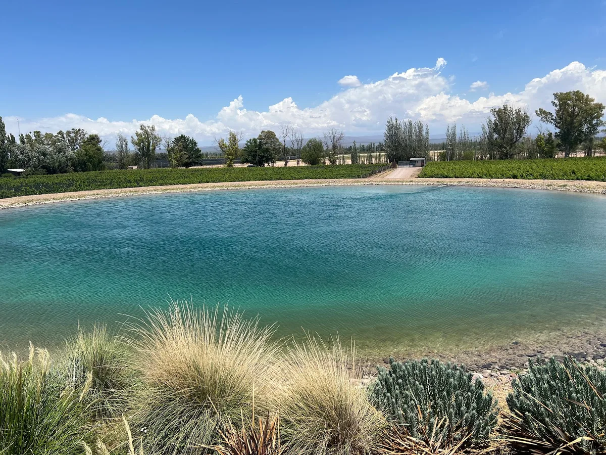 Laguna turquesa frente a los viñedos