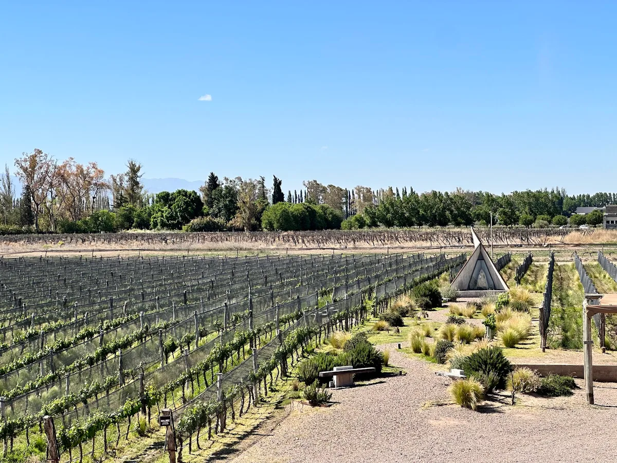 Viñedos y laguna en Agrelo